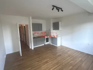 Pronájem bytu 1+kk, Višňová, 36 m2