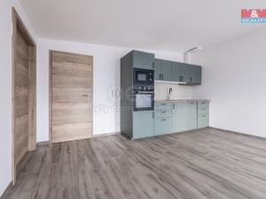 Pronájem bytu 4+kk, Sulice - Želivec, Rovná, 101 m2