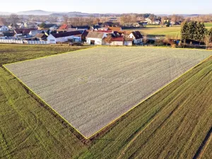 Prodej pozemku pro bydlení, Číčenice, 3500 m2