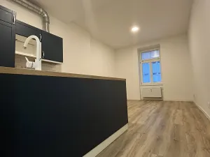 Pronájem bytu 1+kk, Brno, Antonínská, 30 m2