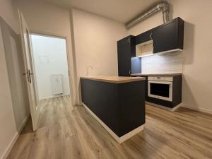 Pronájem bytu 1+kk, Brno, Antonínská, 30 m2