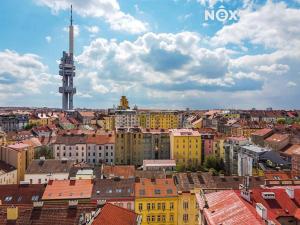 Prodej obchodního prostoru, Praha - Žižkov, Husitská, 75 m2