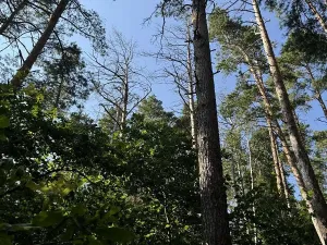 Prodej pozemku, Třebohostice, 4365 m2