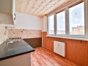 Pronájem bytu 2+kk, Rotava, Sídliště, 45 m2