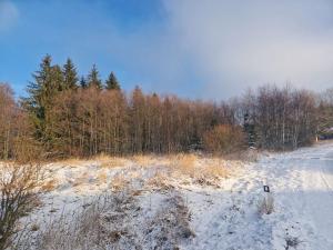 Prodej pozemku pro bydlení, Nová Ves v Horách, 778 m2