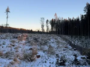 Prodej podílu lesa, Smilovy Hory, 1876 m2