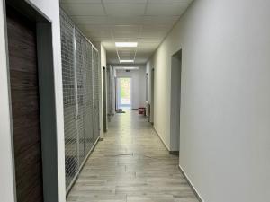 Pronájem bytu 1+kk, Moravské Bránice, 40 m2