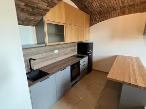 Prodej komerční nemovitosti, Praha - Smíchov, Radlická, 60 m2