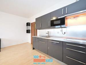 Pronájem bytu 1+kk, Praha - Písnice, Švihovská, 28 m2