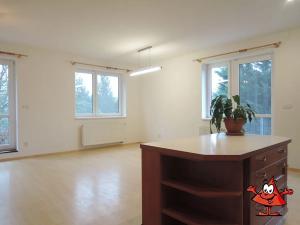 Pronájem bytu 4+kk, Praha - Dubeč, Netlucká, 291 m2