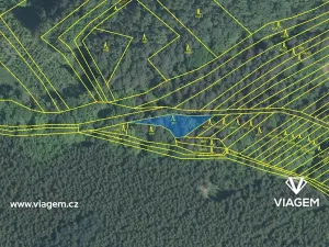 Prodej podílu lesa, Újezd, 1035 m2