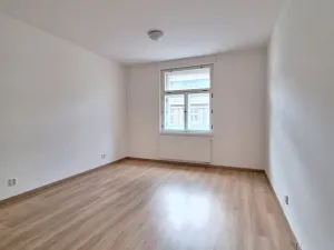 Pronájem bytu 2+1, Praha - Bubeneč, U zeměpisného ústavu, 46 m2