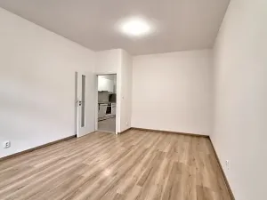 Pronájem bytu 2+1, Praha - Bubeneč, U zeměpisného ústavu, 46 m2