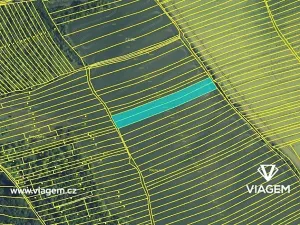 Prodej pole, Morkůvky, 3715 m2