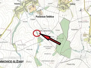 Prodej lesa, Počenice-Tetětice, 630 m2