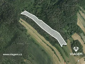 Prodej podílu lesa, Kuřimská Nová Ves, 3121 m2