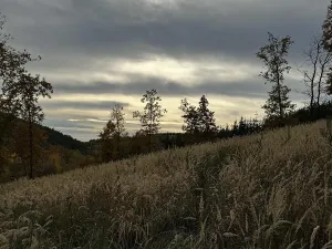 Prodej podílu pozemku, Chrášťany, 6084 m2