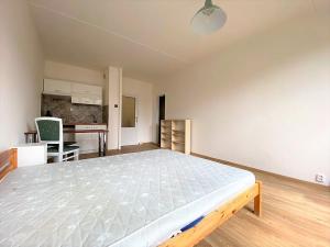 Pronájem bytu 1+kk, Praha - Modřany, Levského, 29 m2