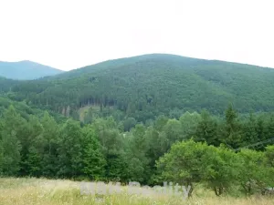 Prodej louky, Ostravice, 3221 m2