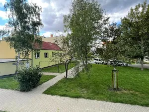 Prodej bytu 1+kk, Lovosice, Sady pionýrů, 22 m2