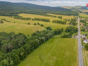 Prodej louky, Dětřichov, 4178 m2