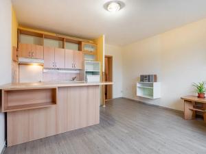 Prodej bytu 2+kk, Teplice, U Červeného kostela, 43 m2