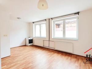 Pronájem bytu 1+kk, Frýdek-Místek, Sadová, 29 m2