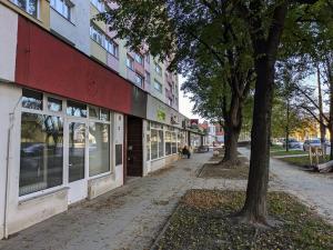 Pronájem obchodního prostoru, Opava, Ratibořská, 30 m2