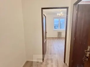 Pronájem bytu 1+kk, Praha - Hodkovičky, Havlovického, 19 m2