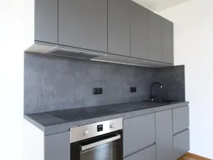 Pronájem bytu 1+kk, Praha - Vysočany, Pechmanových, 40 m2