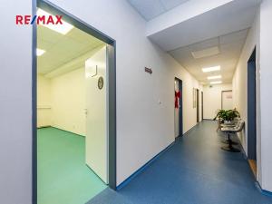 Pronájem obchodního prostoru, Praha - Braník, Údolní, 40 m2