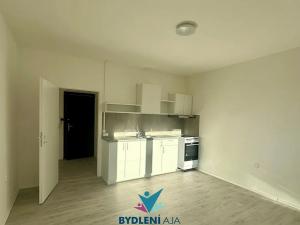 Pronájem bytu 2+kk, Teplice, Scheinerova, 43 m2