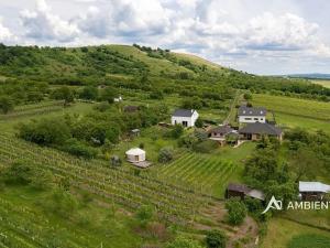 Prodej rodinného domu, Pouzdřany, 109 m2