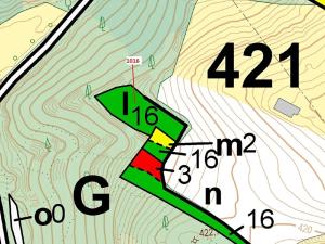 Dražba lesa, Náměšť nad Oslavou, 2458 m2