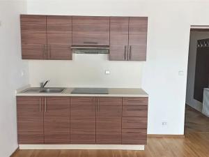 Pronájem bytu 1+kk, Litoměřice, Velká Dominikánská, 30 m2