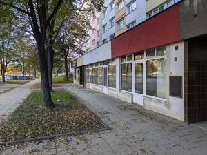 Pronájem obchodního prostoru, Opava, Ratibořská, 30 m2