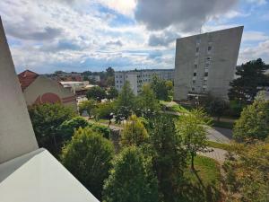 Pronájem bytu 2+kk, Čelákovice, Stankovského, 46 m2