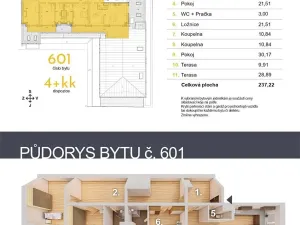 Prodej atypického bytu, České Budějovice, Fráni Šrámka, 237 m2