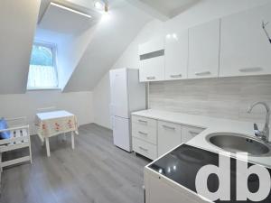 Prodej bytu 1+1, Karlovy Vary, Svahová, 51 m2