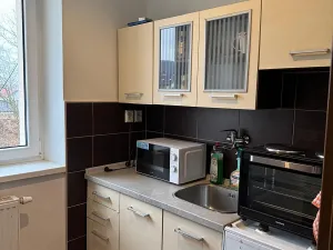 Prodej bytu 1+1, Novosedlice, Drahénská, 26 m2