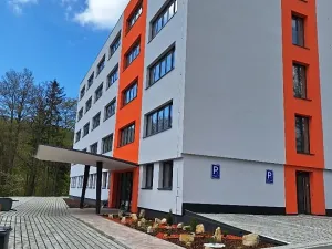 Prodej apartmánu, Tanvald, Horská, 2725 m2