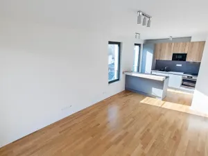 Prodej bytu 3+kk, Praha - Žižkov, Seifertova, 82 m2