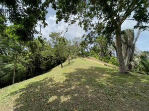 Prodej pozemku, Jonesville, José Santos Guardiola, Honduras, 1884 m2