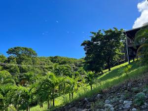 Prodej pozemku, Coxen Hole, Roatán, Honduras, 600 m2