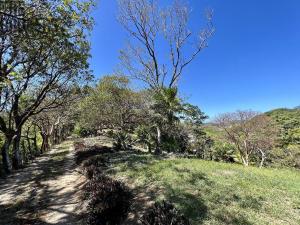 Prodej pozemku, Jonesville, José Santos Guardiola, Honduras, 1594 m2