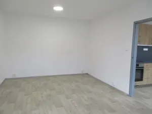 Prodej bytu 1+1, Protivín, Družstevní, 40 m2