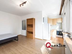 Pronájem bytu 1+kk, Kladno, Mostecká, 26 m2