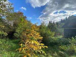 Prodej rodinného domu, Pržno, 90 m2