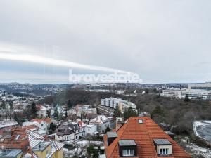 Pronájem bytu 6+kk a větší, Praha - Podolí, V rovinách, 311 m2