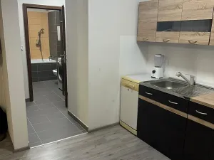 Pronájem bytu 2+kk, Plzeň, Poděbradova, 58 m2